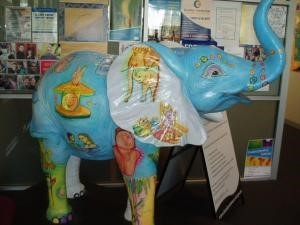 elephant in the room_NACLC conference 2015 blog